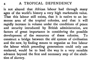 tropical-dependency-05