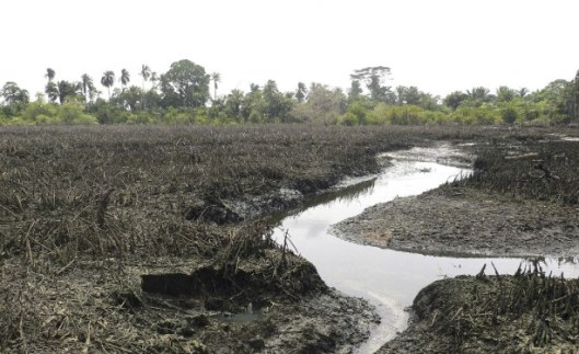 00101949 859a04fcd16ff2f50d1fbe162892621c arc614x376 w614 us1