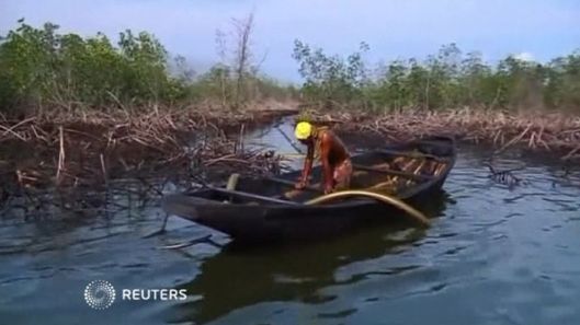 29906170001_3975543426001_thumb-newslook788236