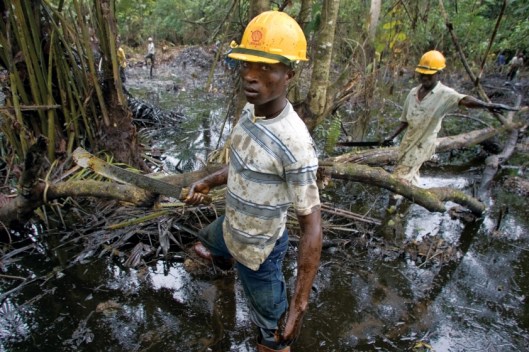 ek_cbg_environmental_004