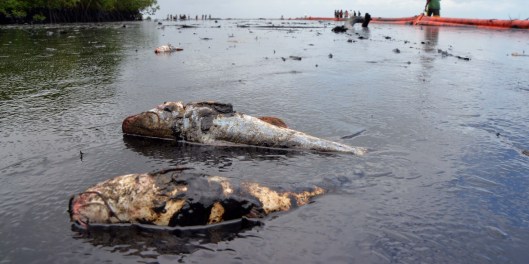 Niger-Delta-Oil-Spill-2