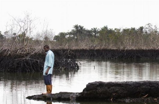 Niger-Delta