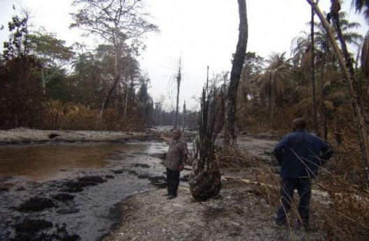 Pollution-in-the-Niger-Delta